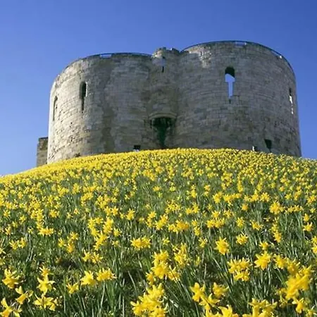 The Snug 아파트 *